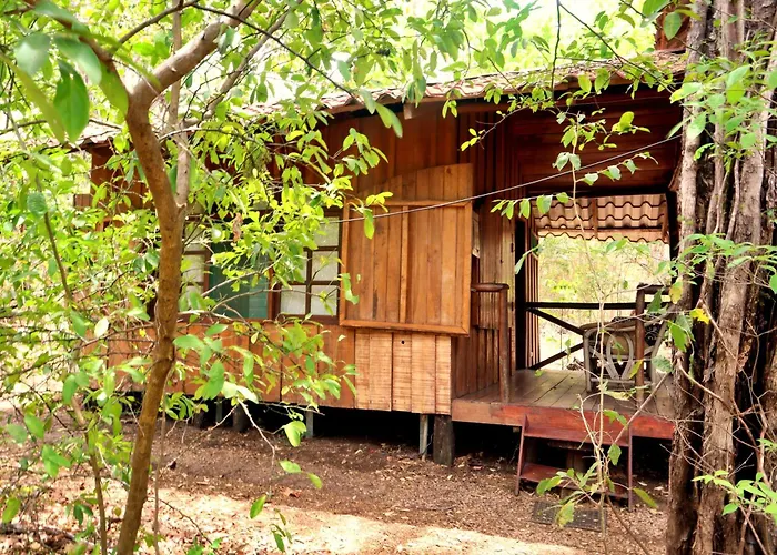 Pachamama Bio Tamarindo