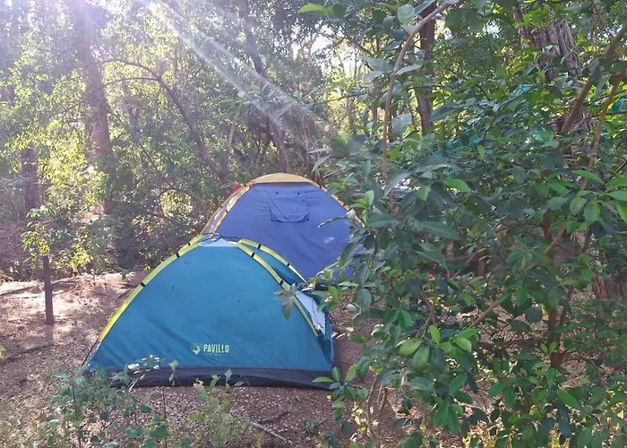 Camping Pachamama Bio